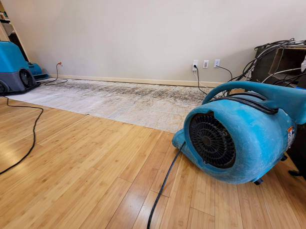 Professional Water Extraction technician working in Romeo, MI